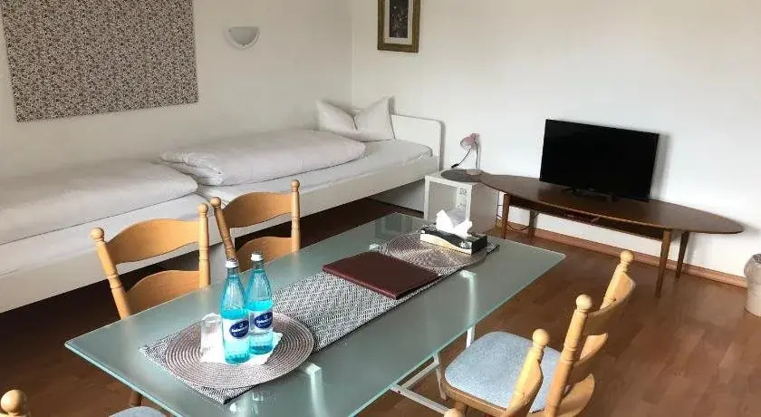 Hotel Pfaffenmühle Aschaffenburg/ Damm