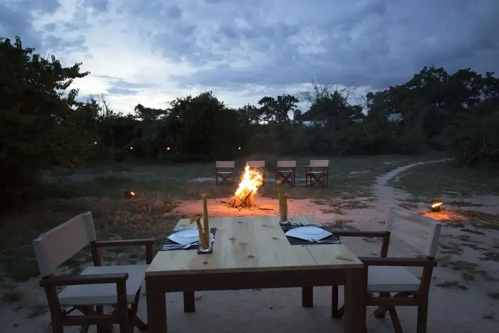 Wild Trails Yala by Suri