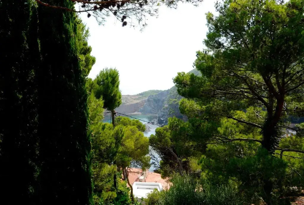 Villa Pic De L'Ocell
