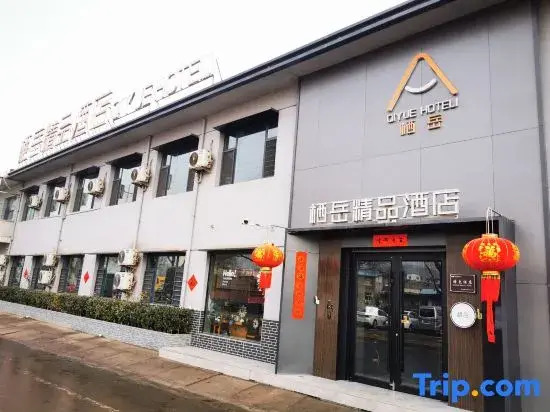 QiYuejingpinjiudian