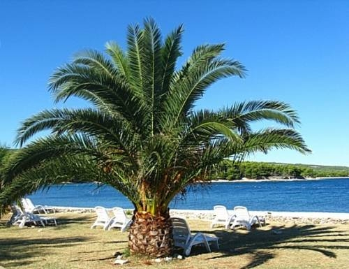 Villa Mia Casa