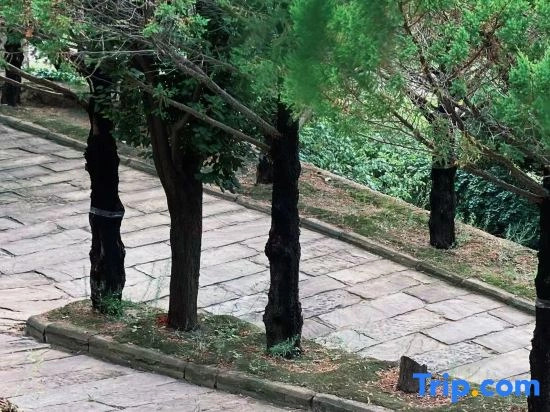 Yan'an Heritage Cave Hotel