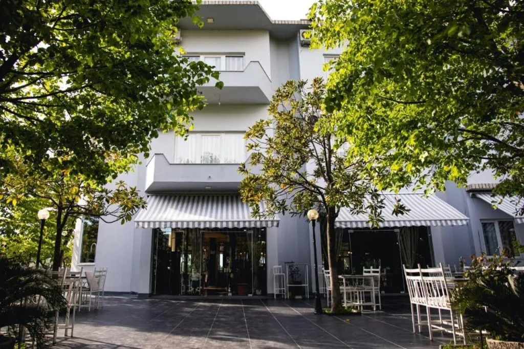 Hotel Blini