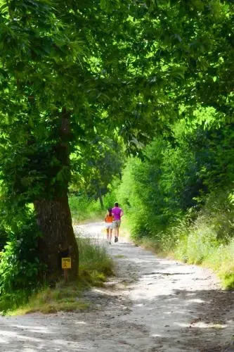 Alojamentos Turísticos São Torcato Moradal Turismo Espaço Rural