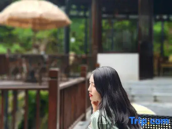 Mid-Levels Homestay
