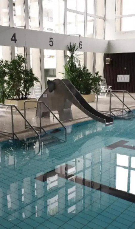FeWo SEESCHWALBE - Pool - Familien - strandnah - Hunde - Loggia