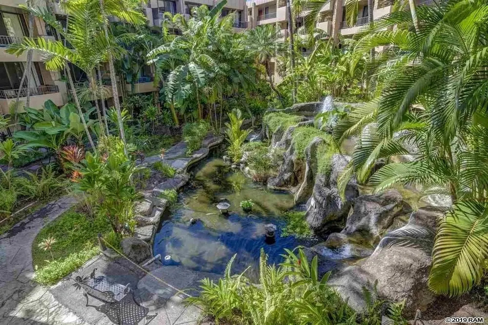 Wonderful Paki Maui by the Ocean in Lahaina