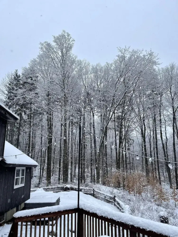 Forest Mountain Escape- Beautiful Mountaintop Escape in Mendon, VT, 20 min to Killington 14 to Pico, home