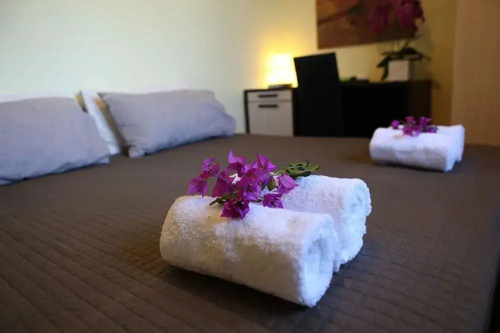 B&B Verdeoliva