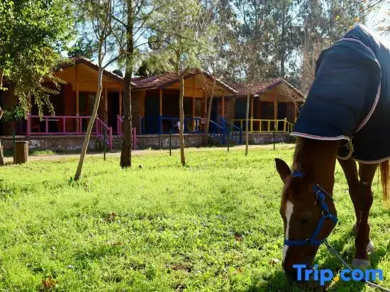 Welt Bungalows Belenbaşı