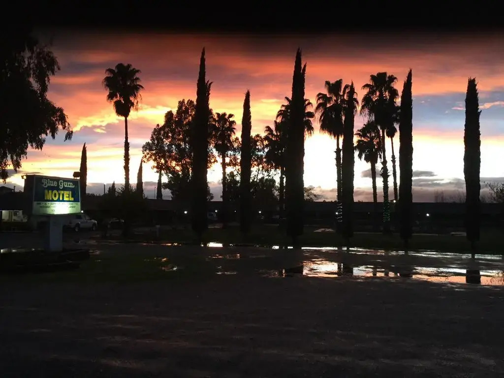 Blue Gum Motel