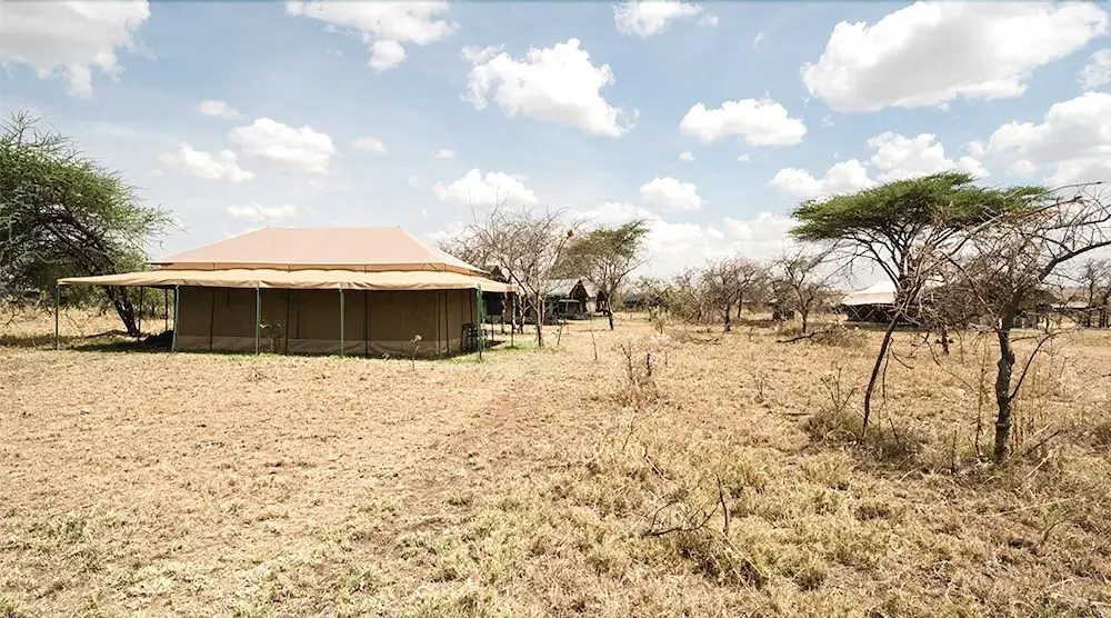 Serengeti Wild Camp