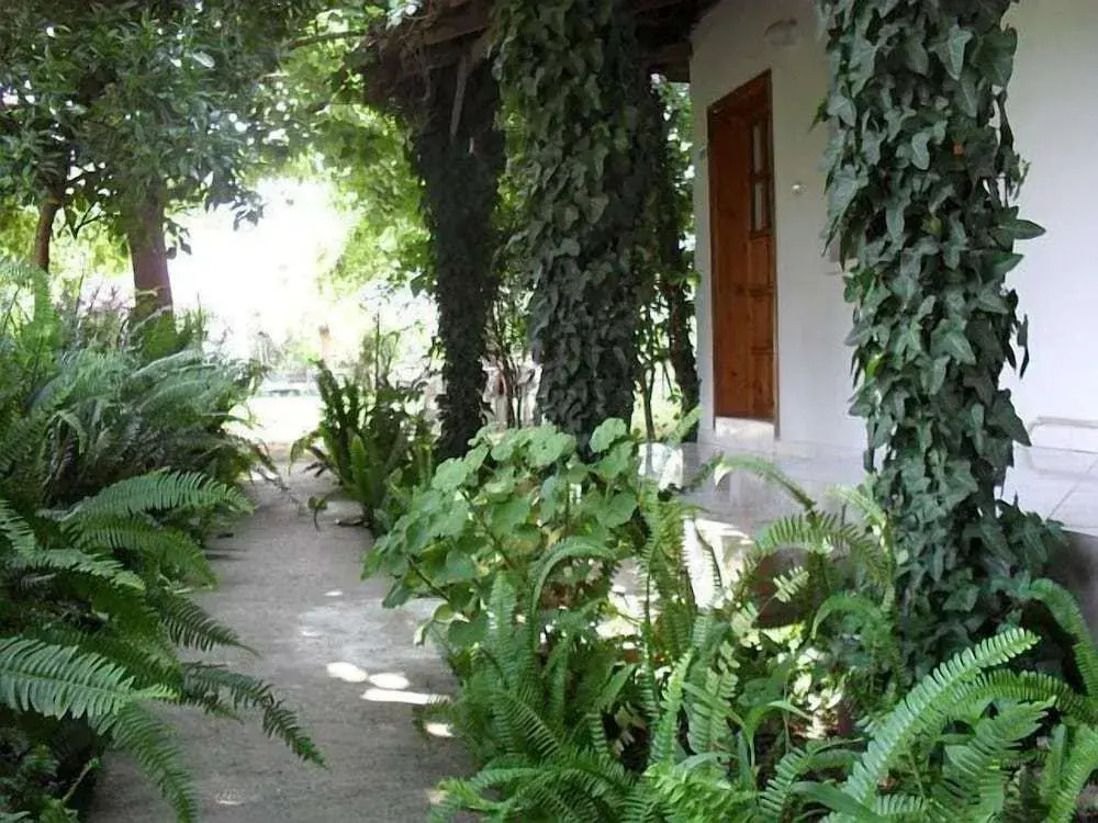 Cesur Pansiyon