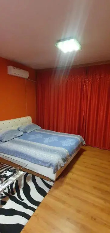 Apartment Savanovic