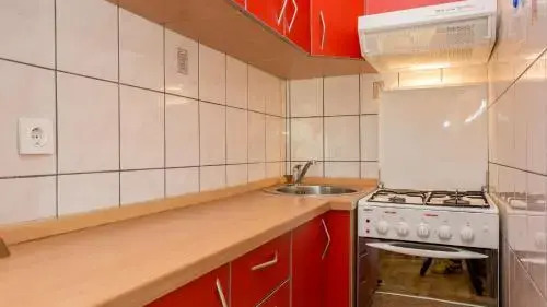 Apartment Branko