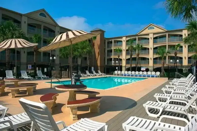 Beachfront Palms