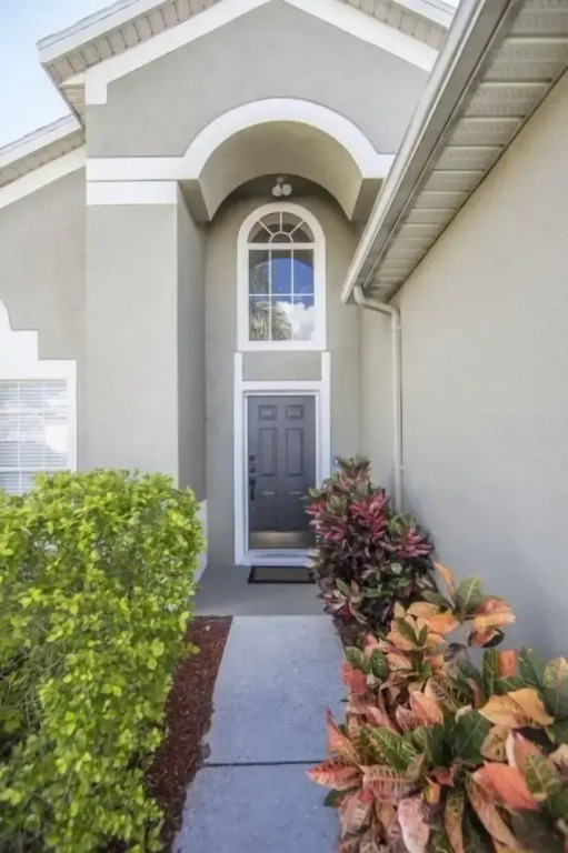 Windsor_palms_8169n