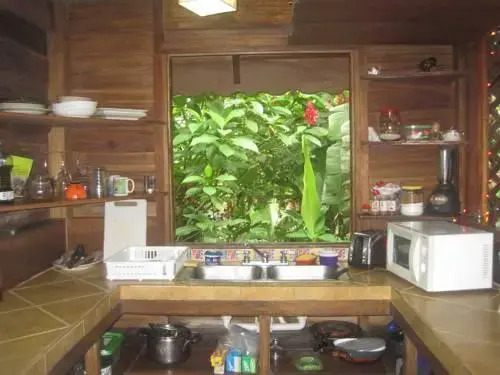 Los Congos