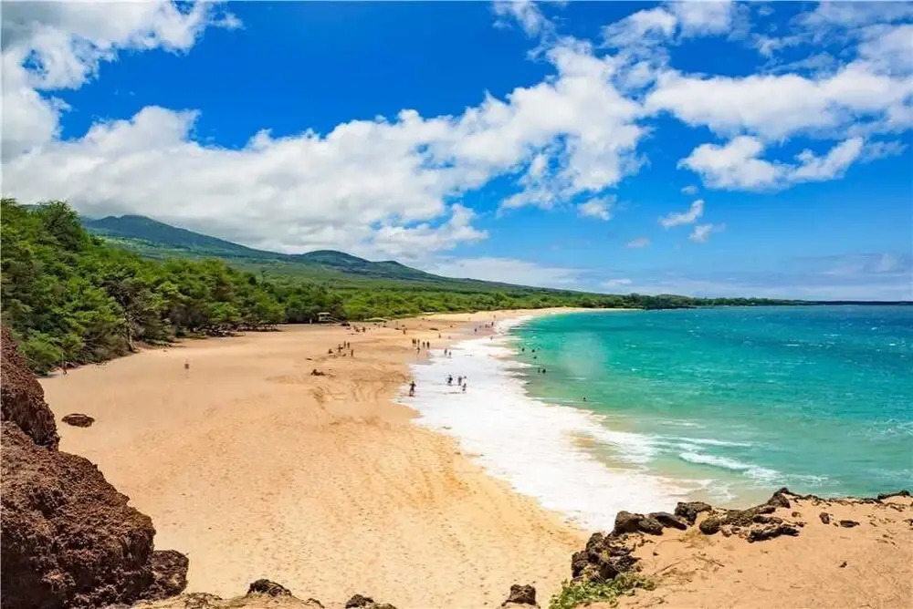 Maui Vista 1216 - One Bedroom Condo