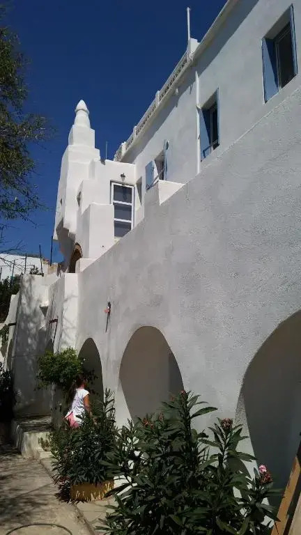The large bougainvillea house