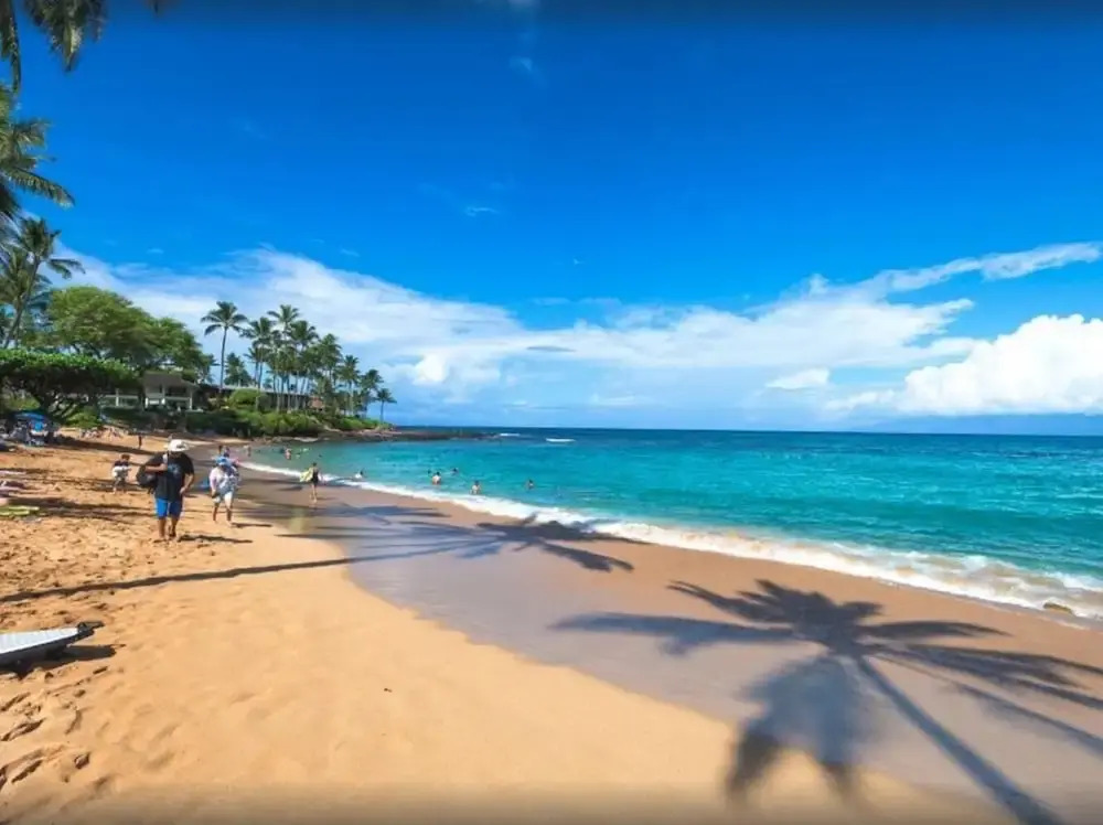 300 Steps to Beach Napili Shores Pool & BBQ