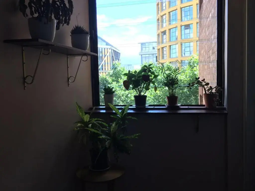 Room in Central London Overview Thames