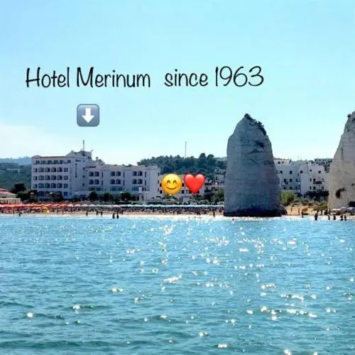 Hotel Merinum