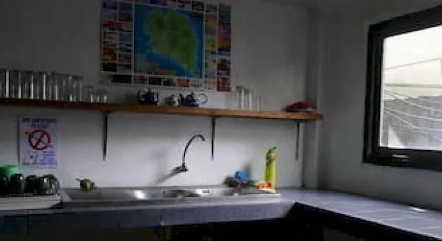 The Party Hostel