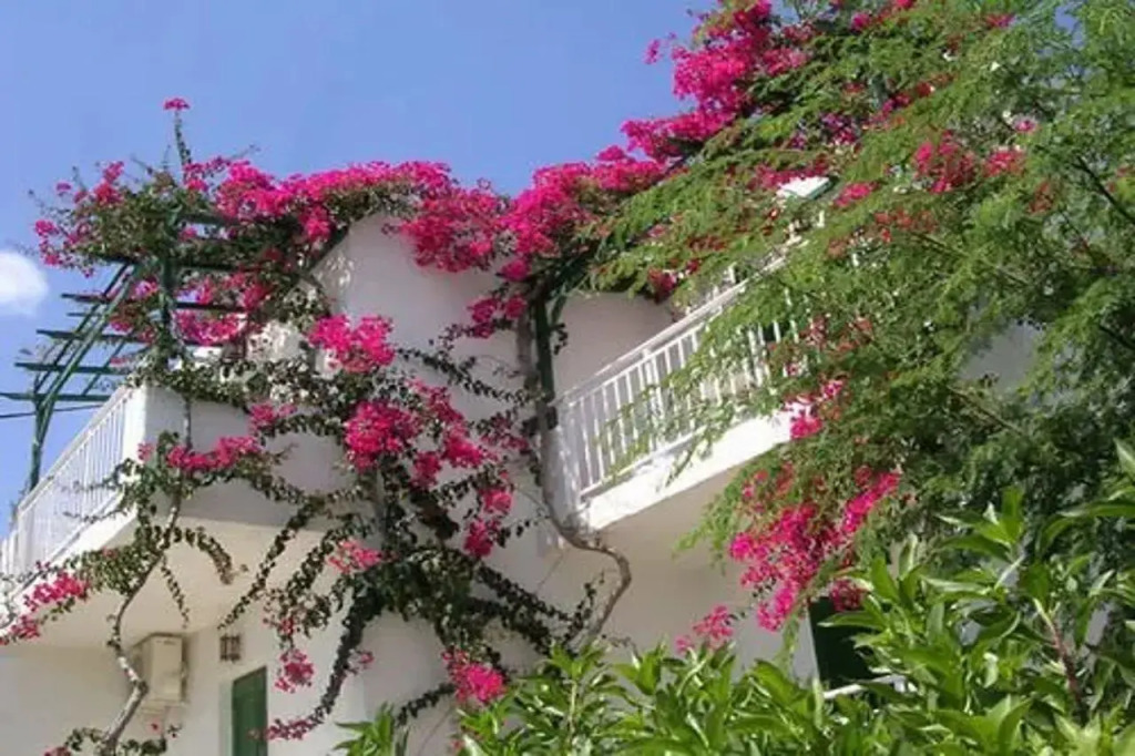 Villa Saradari