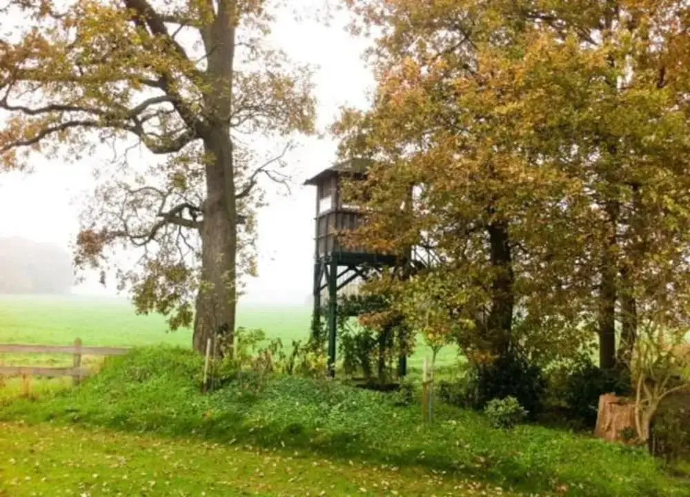 Family Escape With Garden
