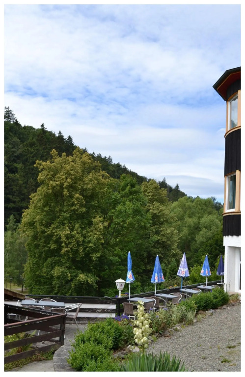 Pension & Restaurant " Zum Harzer Jodlermeister"