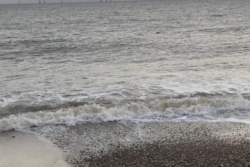 2-bed Seaside Retreat - Sleeps 5 & Parking