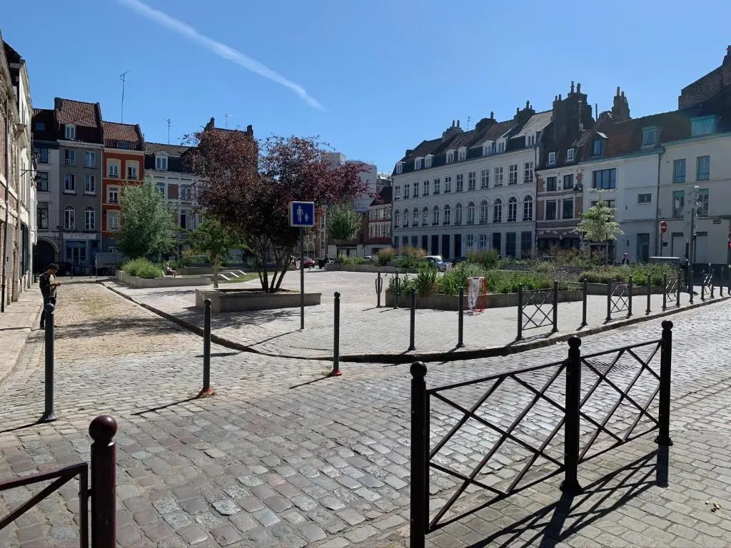 SOUVENIRS VIEUX LILLE Apartment 2 Chambres 24H24H Access