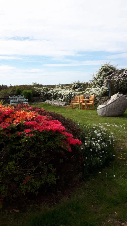 Tyn Llain B&B