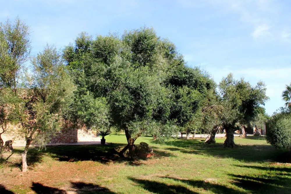 Villa Sa Torre I