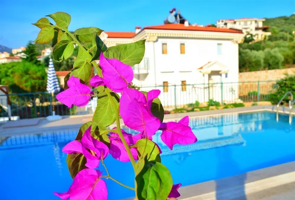 Villa Soral 2 by Akdenizvillam