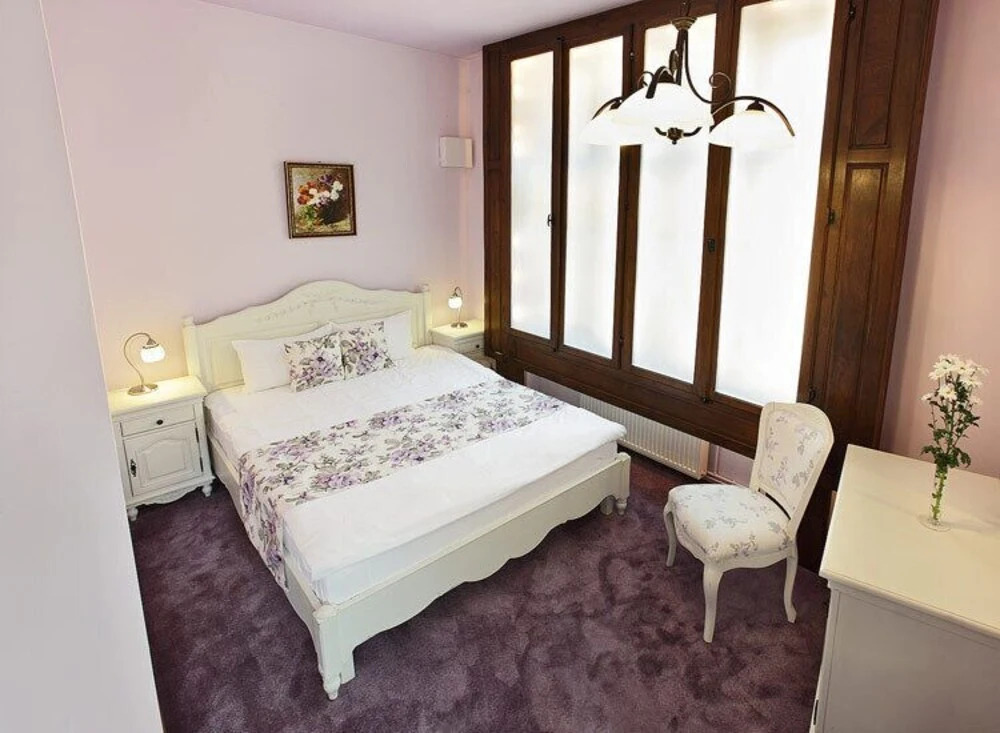 Residence Castelului