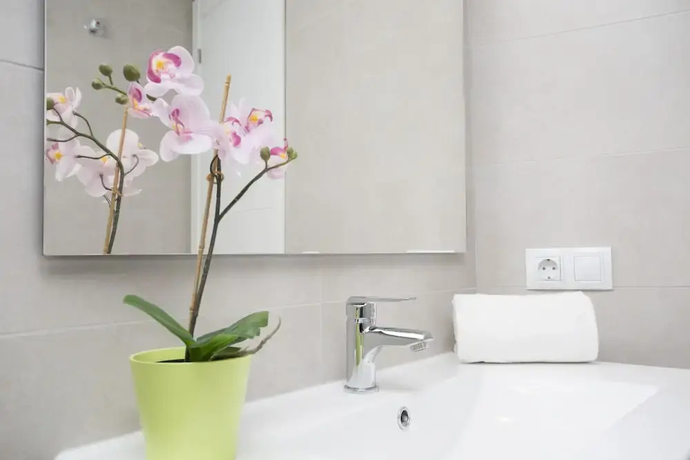 SingularStays Bonaire