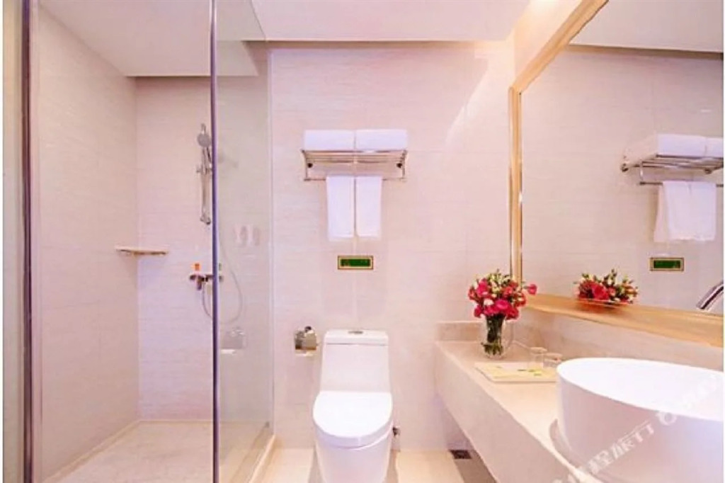 Vienna Hotel (Guangzhou Xintang Shacun Metro Station)