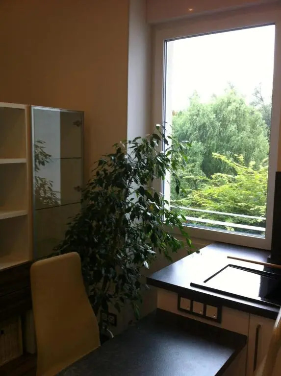 Joanna Apartment - MA Rheinau 3