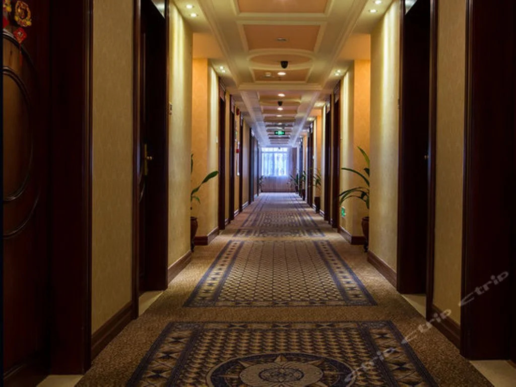 Vienna Hotel Shenzhen Pinghu Center Metro Station