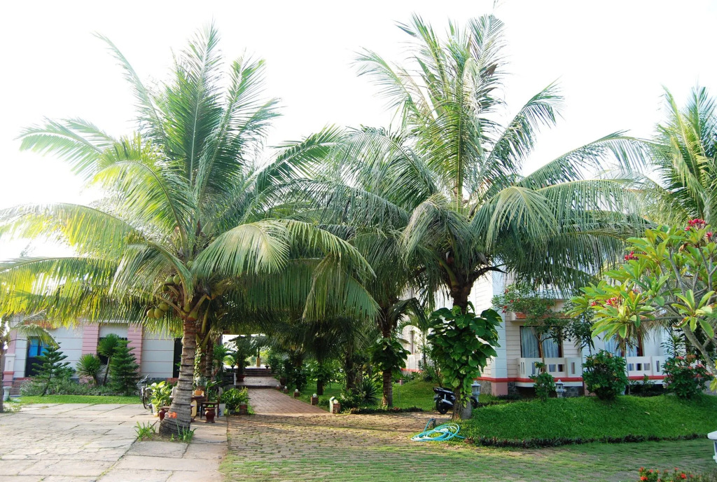 Non Nuoc Resort