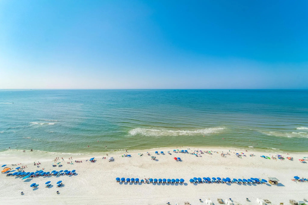 Twin Palms 1703
