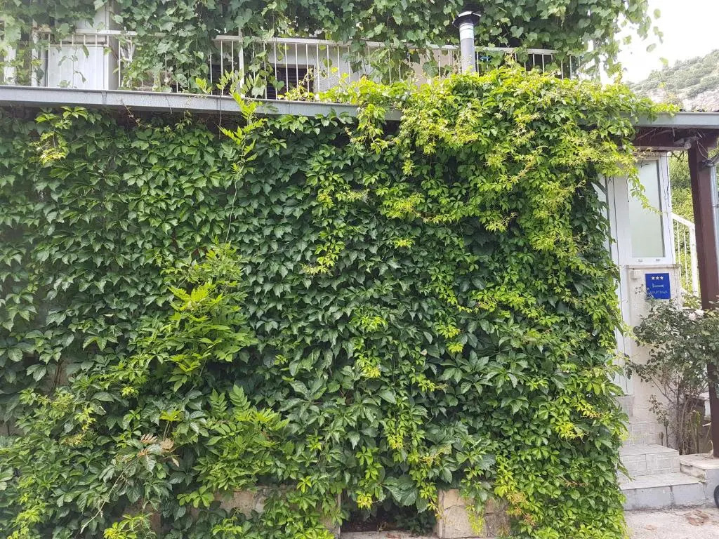 Apartment Nina