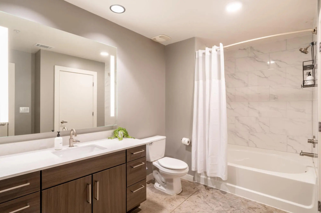 Austin Prime 1BD 1BA Downtown Apartment