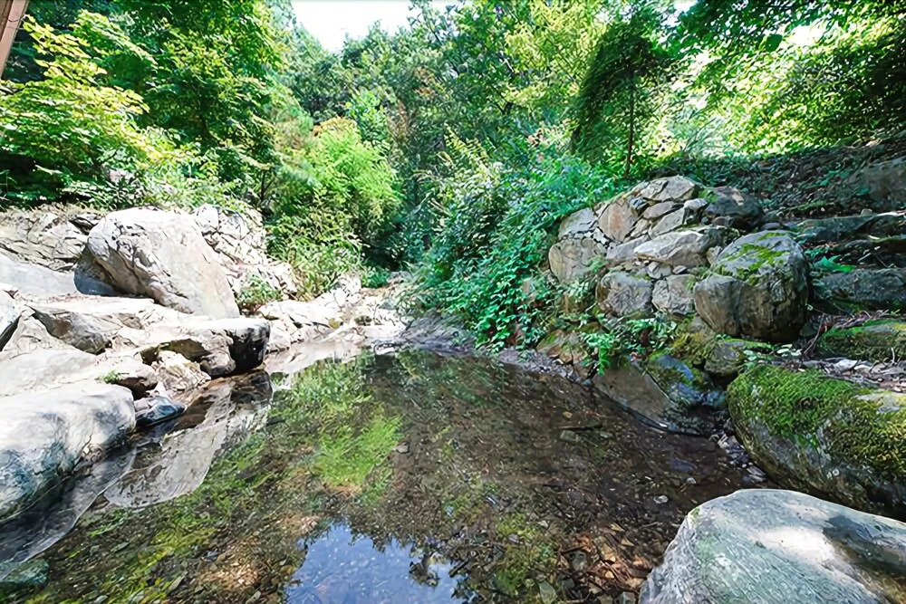 Yangpyeong Jongjagol Hill Fragrance Pension