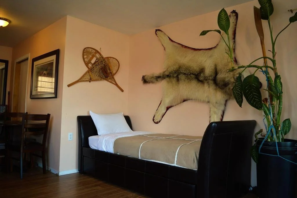Narwal B&B