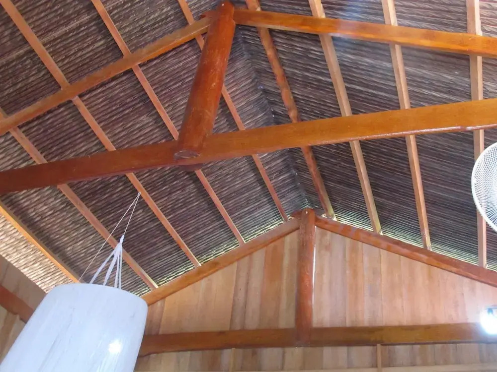 Coconut Homestay Mỏ Cày Nam Bến Tre