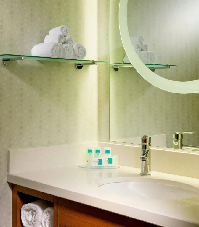 SpringHill Suites by Marriott Houston The Woodlands