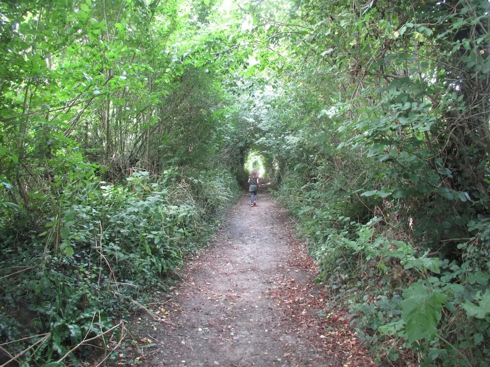 On the Brook